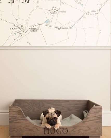 Dog-friendly kitchen ideas