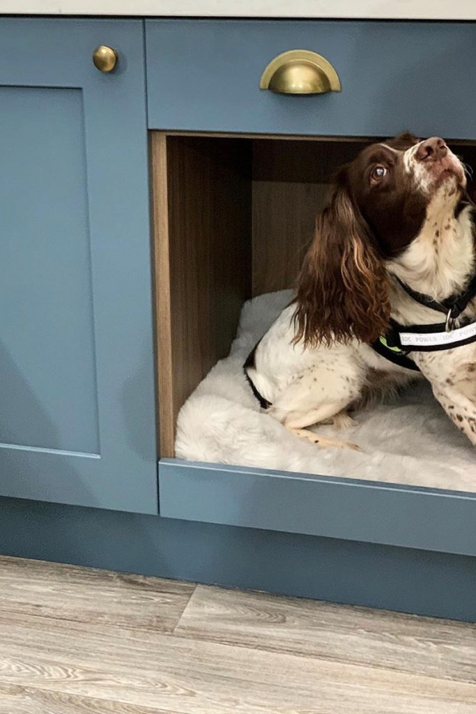 Dog-friendly kitchen ideas