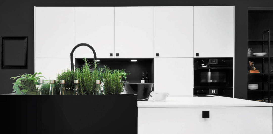 an indoor kitchen herb garden featuring lots of green plants