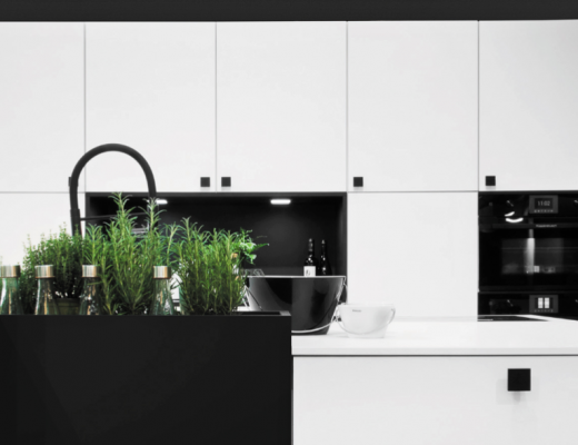 an indoor kitchen herb garden featuring lots of green plants