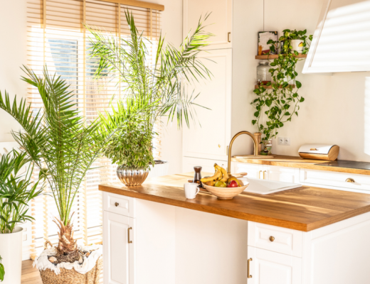 a variety of house plants in a white kitchen with wooden worktops