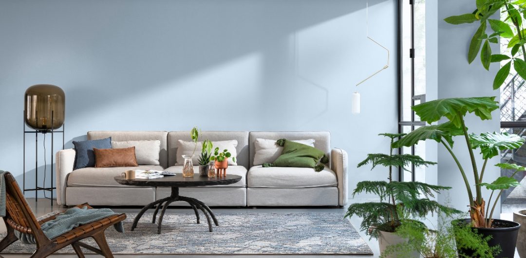 a room painted in Dulux Colour of the Year 2022